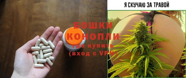 apvp Горняк