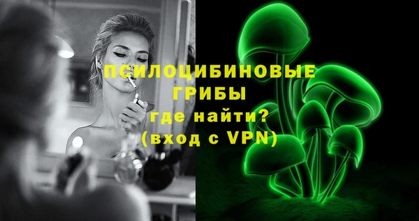 apvp Горняк