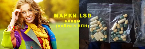 apvp Горняк