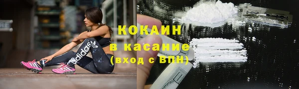 apvp Горняк