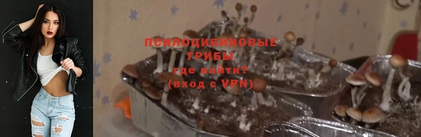 jwh Горно-Алтайск