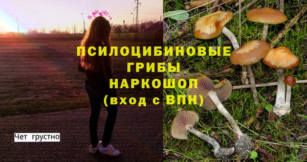скорость Горнозаводск