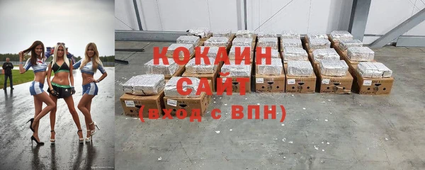apvp Горняк