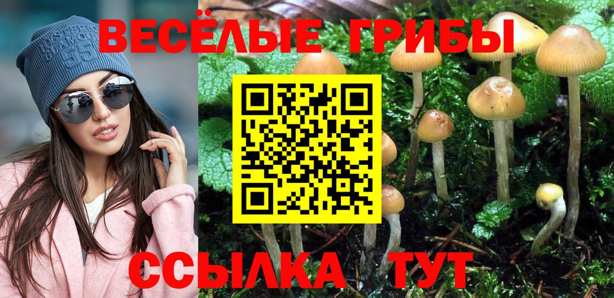 Псилоцибиновые грибы Cubensis Донской